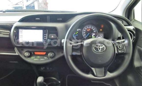 Buy Used Toyota Vitz Green Car in Rundu in Namibia Buy Used Toyota Vitz Green Car in Rundu in Namibia
