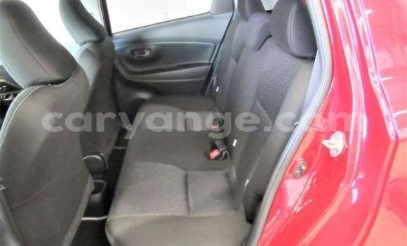 Buy Used Toyota Vitz Green Car in Rundu in Namibia Buy Used Toyota Vitz Green Car in Rundu in Namibia