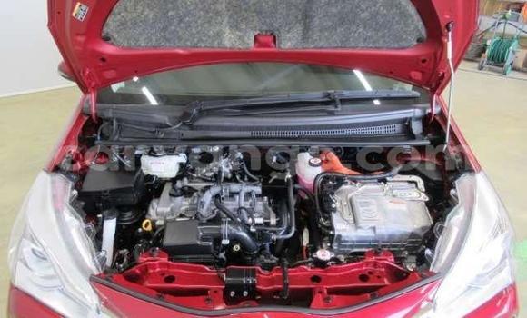 Buy Used Toyota Vitz Green Car in Rundu in Namibia Buy Used Toyota Vitz Green Car in Rundu in Namibia