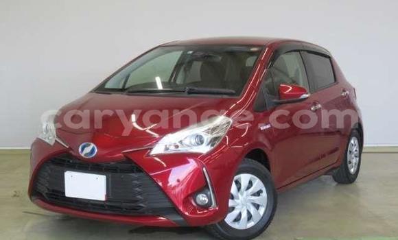 Buy Used Toyota Vitz Green Car in Rundu in Namibia Buy Used Toyota Vitz Green Car in Rundu in Namibia