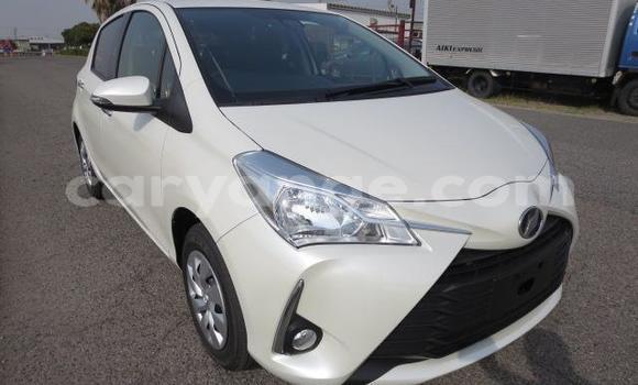 Buy Used Toyota Vitz White Car in Katima Mulilo in Caprivi