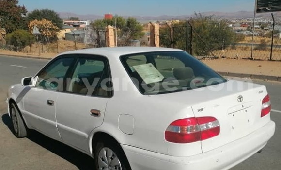 Buy Used Toyota Corolla White Car in Windhoek in Namibia