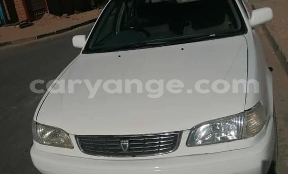 Buy Used Toyota Corolla White Car in Windhoek in Namibia Buy Used Toyota Corolla White Car in Windhoek in Namibia