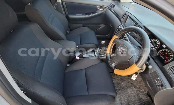 Acheter Occasion Voiture Toyota Runx Gris à Warmbad, Karas Acheter Occasion Voiture Toyota Runx Gris à Warmbad, Karas