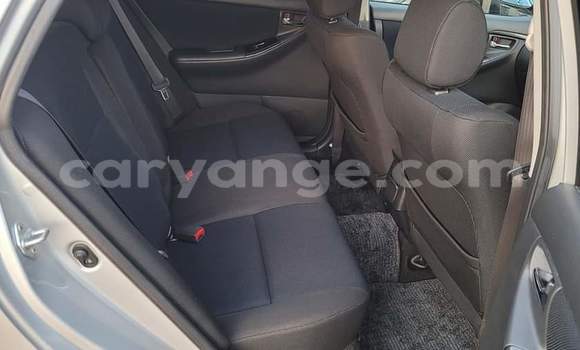 Acheter Occasion Voiture Toyota Runx Gris à Warmbad, Karas Acheter Occasion Voiture Toyota Runx Gris à Warmbad, Karas