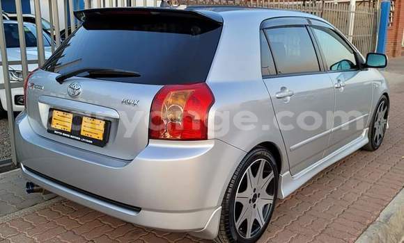 Acheter Occasion Voiture Toyota Runx Gris à Warmbad, Karas Acheter Occasion Voiture Toyota Runx Gris à Warmbad, Karas