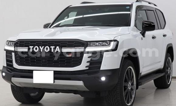 Buy Used Toyota Land Cruiser White Car in Windhoek in Namibia