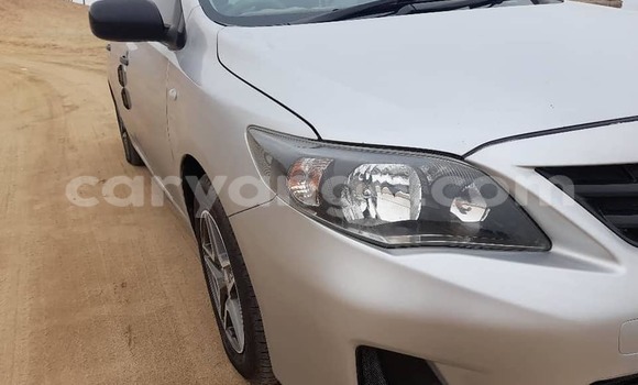 Buy Used Toyota Corolla Silver Car in Walvis Bay in Namibia Buy Used Toyota Corolla Silver Car in Walvis Bay in Namibia