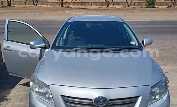 Buy Used Toyota Corolla Silver Car in Walvis Bay in Namibia