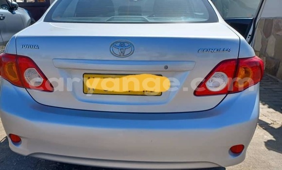 Buy Used Toyota Corolla Silver Car in Walvis Bay in Namibia Buy Used Toyota Corolla Silver Car in Walvis Bay in Namibia