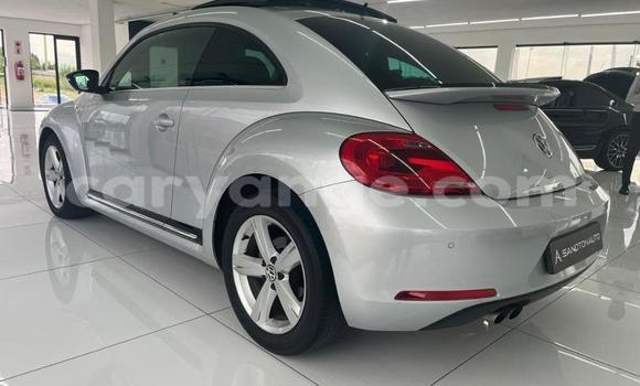 Buy Used Volkswagen Beetle Silver Car in Windhoek in Namibia Buy Used Volkswagen Beetle Silver Car in Windhoek in Namibia