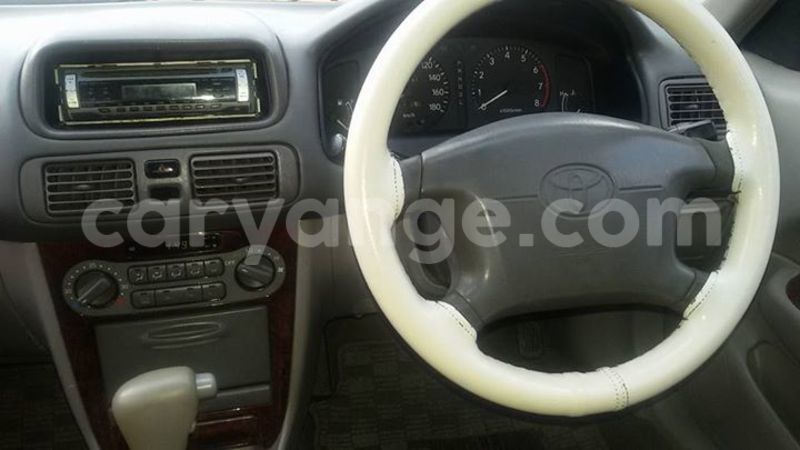 Big with watermark 13327471 828012297330236 5984320925613596303 n