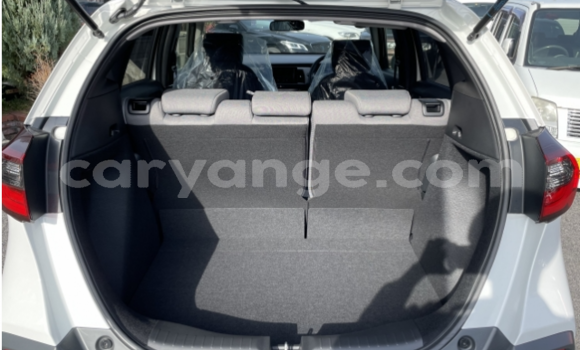 Buy Used Honda FIT White Car in Windhoek in Namibia Buy Used Honda FIT White Car in Windhoek in Namibia