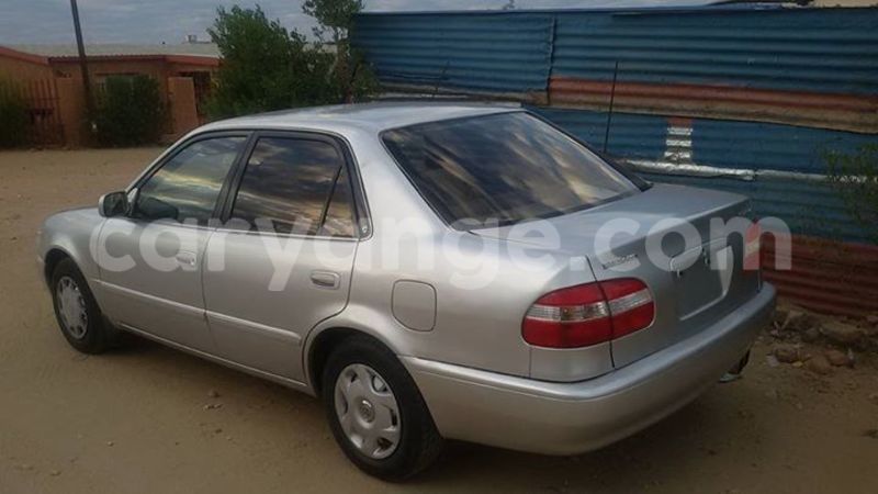 Big with watermark 13413534 828012483996884 9049816430779775744 n