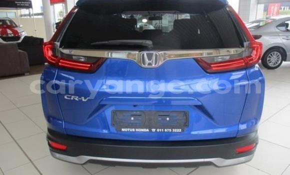 Buy Used Honda CR–V Silver Car in Windhoek in Namibia Buy Used Honda CR–V Silver Car in Windhoek in Namibia