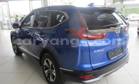 Buy Used Honda CR–V Silver Car in Windhoek in Namibia Buy Used Honda CR–V Silver Car in Windhoek in Namibia