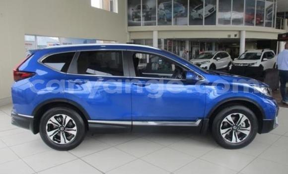 Buy Used Honda CR–V Silver Car in Windhoek in Namibia Buy Used Honda CR–V Silver Car in Windhoek in Namibia