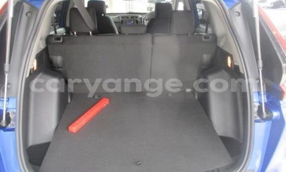 Buy Used Honda CR–V Silver Car in Windhoek in Namibia Buy Used Honda CR–V Silver Car in Windhoek in Namibia