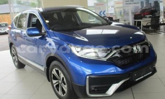 Buy Used Honda CR–V Silver Car in Windhoek in Namibia Buy Used Honda CR–V Silver Car in Windhoek in Namibia