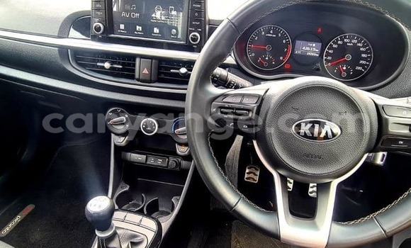 Buy Used Kia Picanto Blue Car in Windhoek in Namibia Buy Used Kia Picanto Blue Car in Windhoek in Namibia