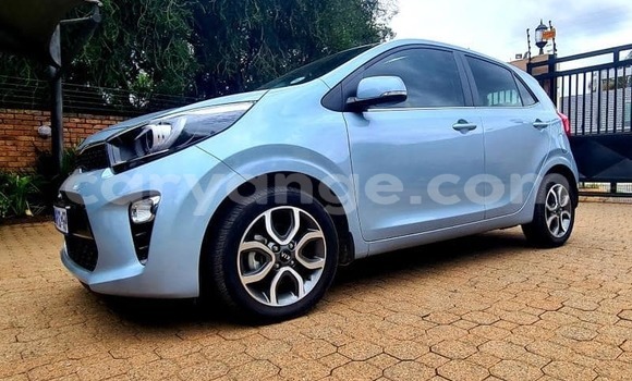 Buy Used Kia Picanto Blue Car in Windhoek in Namibia Buy Used Kia Picanto Blue Car in Windhoek in Namibia