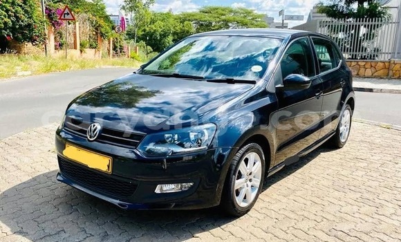 Buy Used Volkswagen Polo Black Car in Windhoek in Namibia