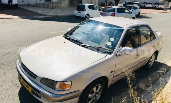 Buy Used Toyota Corolla White Car in Windhoek in Namibia