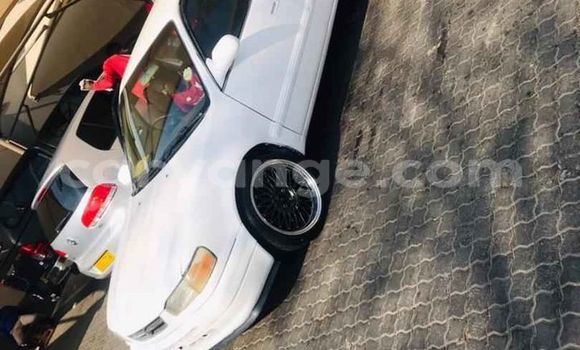 Acheter Occasion Voiture Toyota Corolla Blanc à Windhoek, Namibie Acheter Occasion Voiture Toyota Corolla Blanc à Windhoek, Namibie