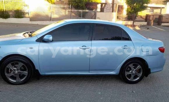 Buy Used Toyota Corolla Blue Car in Windhoek in Namibia
