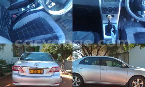 Buy Used Toyota Corolla Silver Car in Windhoek in Namibia