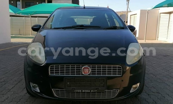 Buy Used Fiat Punto Black Car in Windhoek in Namibia