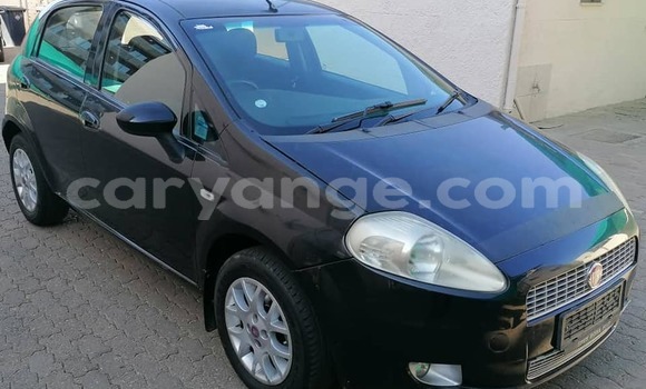 Acheter Occasion Voiture Fiat Punto Noir à Windhoek, Namibie Acheter Occasion Voiture Fiat Punto Noir à Windhoek, Namibie