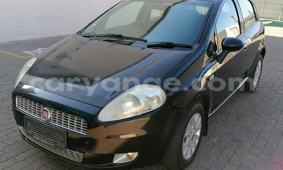 Acheter Occasion Voiture Fiat Punto Noir à Windhoek, Namibie Acheter Occasion Voiture Fiat Punto Noir à Windhoek, Namibie