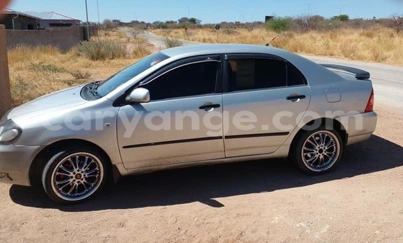 Buy Used Toyota Corolla Silver Car in Windhoek in Namibia
