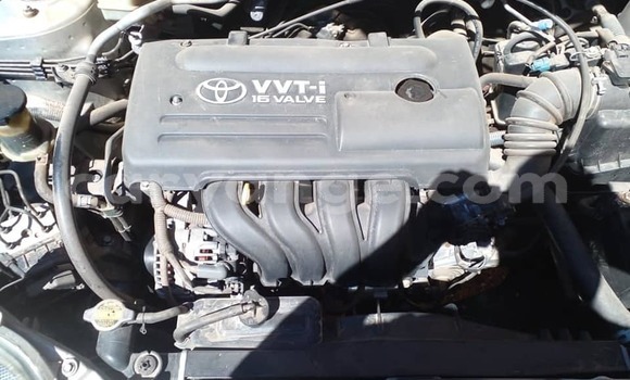 Acheter Occasion Voiture Toyota Corolla Gris à Windhoek, Namibie Acheter Occasion Voiture Toyota Corolla Gris à Windhoek, Namibie