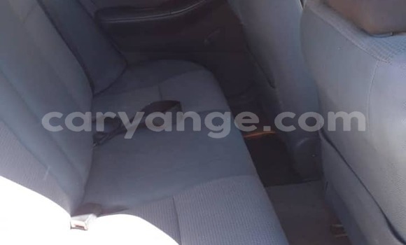 Acheter Occasion Voiture Toyota Corolla Gris à Windhoek, Namibie Acheter Occasion Voiture Toyota Corolla Gris à Windhoek, Namibie