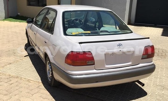 Acheter Occasion Voiture Toyota Corolla Gris à Windhoek, Namibie Acheter Occasion Voiture Toyota Corolla Gris à Windhoek, Namibie