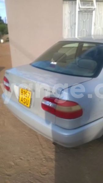 Big with watermark 13442220 835039693294163 3035666920347363374 n