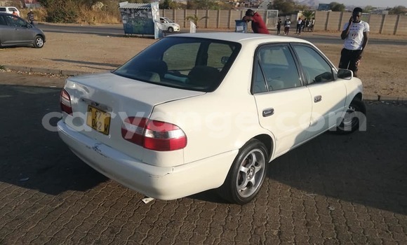 Acheter Occasion Voiture Toyota Corolla Blanc à Windhoek, Namibie Acheter Occasion Voiture Toyota Corolla Blanc à Windhoek, Namibie