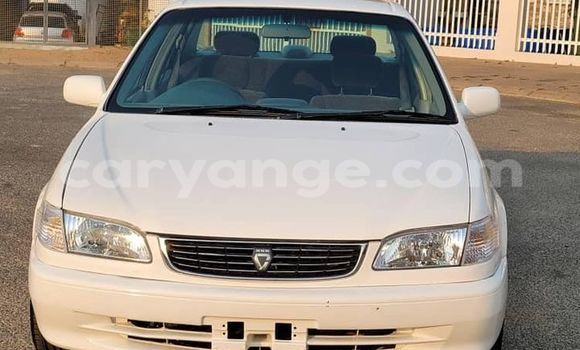 Buy Used Toyota Corolla White Car in Windhoek in Namibia