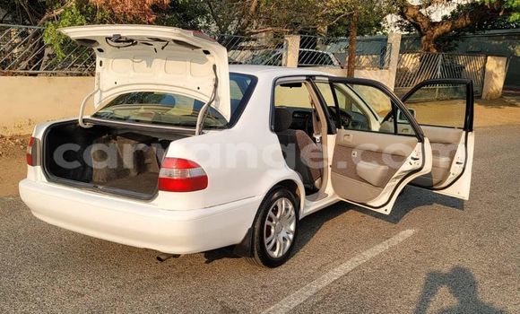 Buy Used Toyota Corolla White Car in Windhoek in Namibia Buy Used Toyota Corolla White Car in Windhoek in Namibia