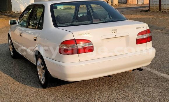 Buy Used Toyota Corolla White Car in Windhoek in Namibia Buy Used Toyota Corolla White Car in Windhoek in Namibia