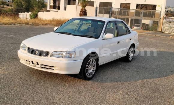 Buy Used Toyota Corolla White Car in Windhoek in Namibia Buy Used Toyota Corolla White Car in Windhoek in Namibia