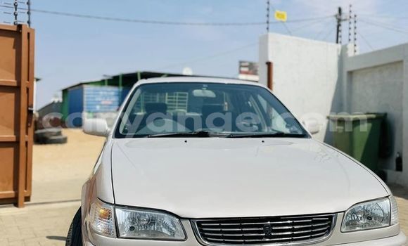 Buy Used Toyota Corolla Beige Car in Windhoek in Namibia