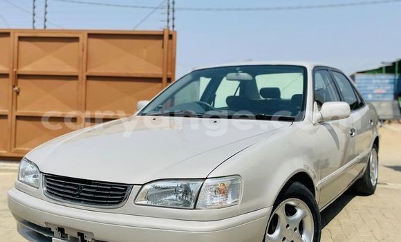 Buy Used Toyota Corolla Beige Car in Windhoek in Namibia Buy Used Toyota Corolla Beige Car in Windhoek in Namibia