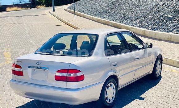 Buy Used Toyota Corolla Beige Car in Windhoek in Namibia