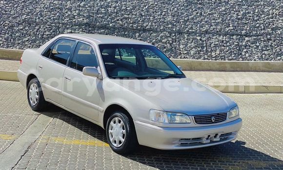 Buy Used Toyota Corolla Beige Car in Windhoek in Namibia Buy Used Toyota Corolla Beige Car in Windhoek in Namibia