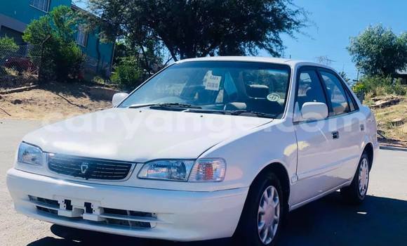 Buy Used Toyota Corolla White Car in Windhoek in Namibia