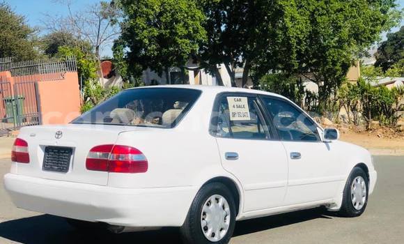 Buy Used Toyota Corolla White Car in Windhoek in Namibia Buy Used Toyota Corolla White Car in Windhoek in Namibia
