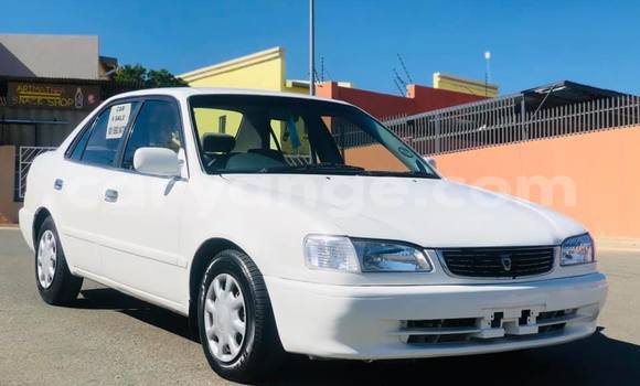 Buy Used Toyota Corolla White Car in Windhoek in Namibia Buy Used Toyota Corolla White Car in Windhoek in Namibia